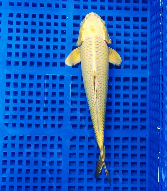 Screenshot 2025-09-01 145430