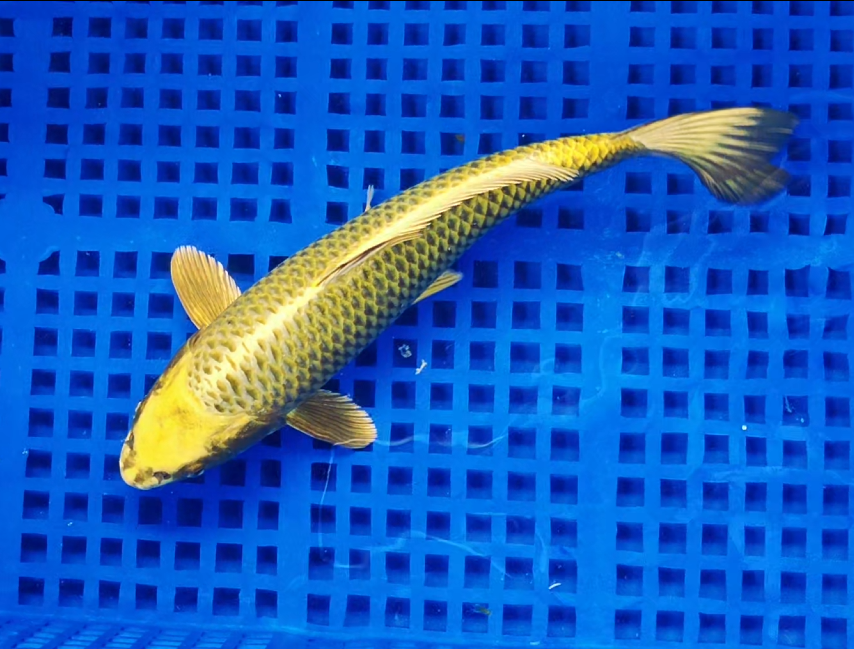 Screenshot 2025-09-01 150158