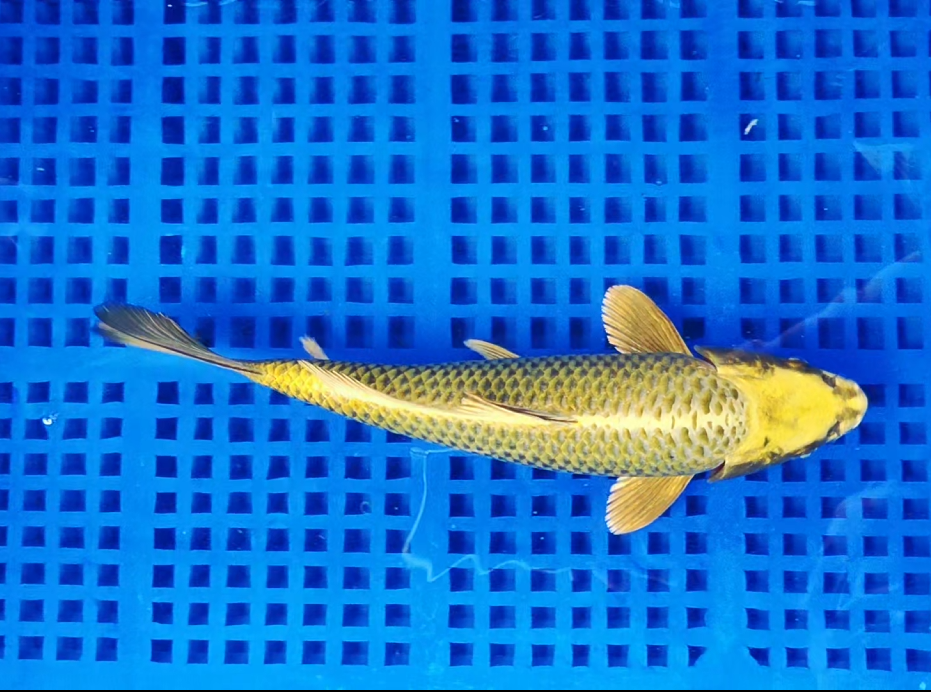 Screenshot 2025-09-01 150215